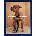 AMERICAN PITBULL