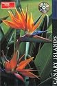 Travellers Canary Islands (Travellers - Thomas Cook)
