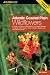 Atlantic Coastal Plain Wildflowers: A Guide to Common Wildflowers of the Coastal Regions of Virginia, North Carolina, South Carolina, Georgia, and Northeastern Florida (Falcon Guide)