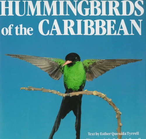Hummingbirds Of The Caribbean