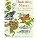 Illustrating Nature: How to Paint and Draw Plants and Animals