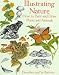 Illustrating Nature: How to Paint and Draw Plants and Animals by Dorothea Barlowe