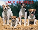 Just Jack Russells 2007 Calendar (Just)