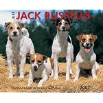 Just Jack Russells 2007 Calendar (Just) book cover