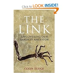 The Link