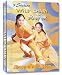Wushu 9 Section Whip Chain