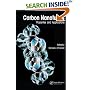 Carbon Nanotubes: Properties and Applications