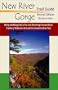New River Gorge Trail Guide