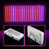 Tutent 植物育成ライト電球 室内栽培/水耕栽培 温室水耕栽培 300W LEDランプ 【PSE認証済み】E27ベース