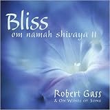Robert Gass: Bliss Om Namah Shivaya II