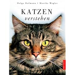 Katzen verstehen