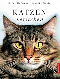 Katzen verstehen