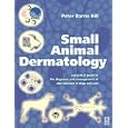 Small Animal Dermatology: A Practical Guide to Diagnostic Tests by  Peter B. Hill