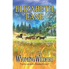 Wyoming Wildfire