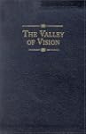 Valley of Vision Leather Gift Edition