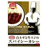 豊田アストリア 白ネギと牛スジのスパイシーカレー レトルト 1袋 220g