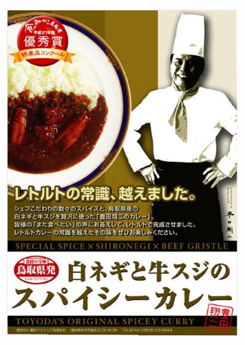 豊田アストリア 白ネギと牛スジのスパイシーカレー レトルト 1袋 220g