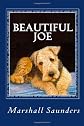 Beautiful Joe