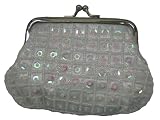 Beaded Sequined Handmade Coin Bag/purse