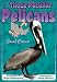 Those Peculiar Pelicans (Those Amazing Animals)