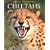 Cheetahs (Wildlife Monographs)