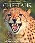Cheetahs (Wildlife Monographs)