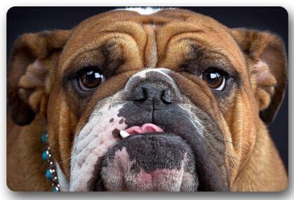 Cute Interesting Bulldog Baby Door Mats Cover Non-Slip Machine Washable Outdoor Indoor Bathroom Kitchen Decor Rug Mat Welcome Doormat - 23.6"(L) x 15.7"(W), 3/16" Thickness