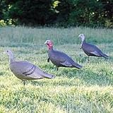 Feather Flex® Love Triangle Turkey Decoy Flock