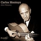 Aires Flamenco