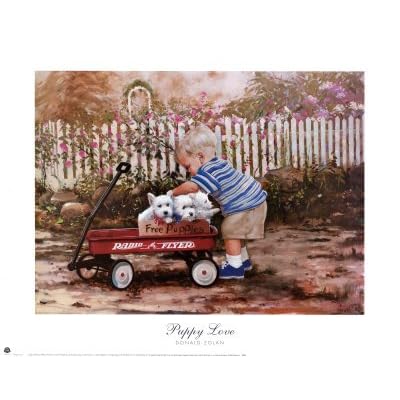 colour photo of boy and puppies in red pull cart wagon