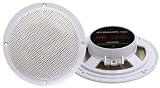 Pyramid MDC6 5.25-Inch Marine 100 Watts Dual Cone Waterproof Stereo Speakers