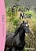 L'étalon noir 04 - Le fils de l'Étalon Noir