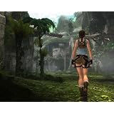 Tomb Raider Anniversary （輸入版）