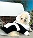 Pilgrim Girl Costume for Dogs