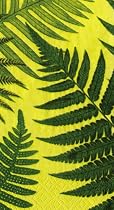 Caspari John Derian Ferns Set of 15 Paper Guest Towels, Green