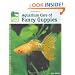 Aquarium Care of Fancy Guppies (Animal Planet Pet Care Library)
