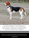 Scent Hounds: Their Purpose, Function, Works and Uniqueness Including Tracking Animals and Locating Missing Persons