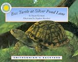 Baby Turtle Books