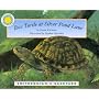 Box Turtle at Silver Pond Land (Smithsonian's Backyard) (Smithsonian's Backyard)