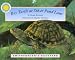 Box Turtle at Silver Pond Land (Smithsonian's Backyard) (Smithsonian's Backyard)