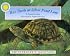 Box Turtle at Silver Pond Land (Smithsonian's Backyard) (Smithsonian's Backyard)