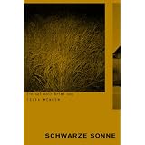 Schwarze Sonne: Ein sel noir Krimivon "Felix Mennen"