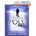 The North Pole Was Here: Puzzles and Perils at the Top of the World (New York Times)