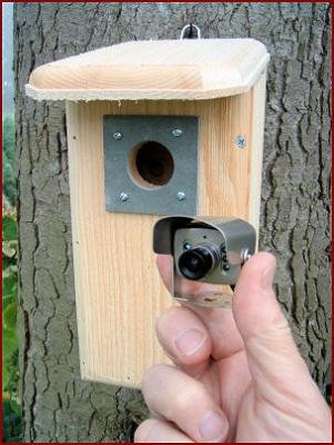 Backyard Birdhouse w/ Hawk Eye Nature Cam installed. Bird Watcher's Dream On Sale