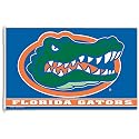 Florida WinCraft NCAA 3' x 5' Flag