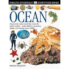 Eyewitness: Ocean