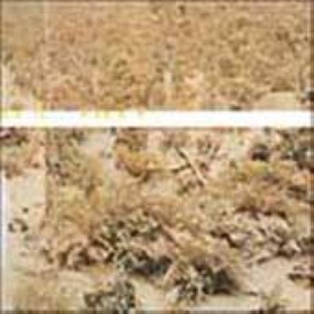 CD-Charts  Search : Lineage Situation