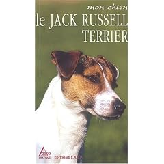 Le Jack Russell Terrier : Un chien pour les familles avec enfants