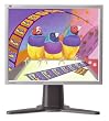 Viewsonic VP171S 17" LCD Monitor (Silver)