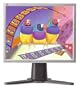 Viewsonic VP171S 17" LCD Monitor (Silver)